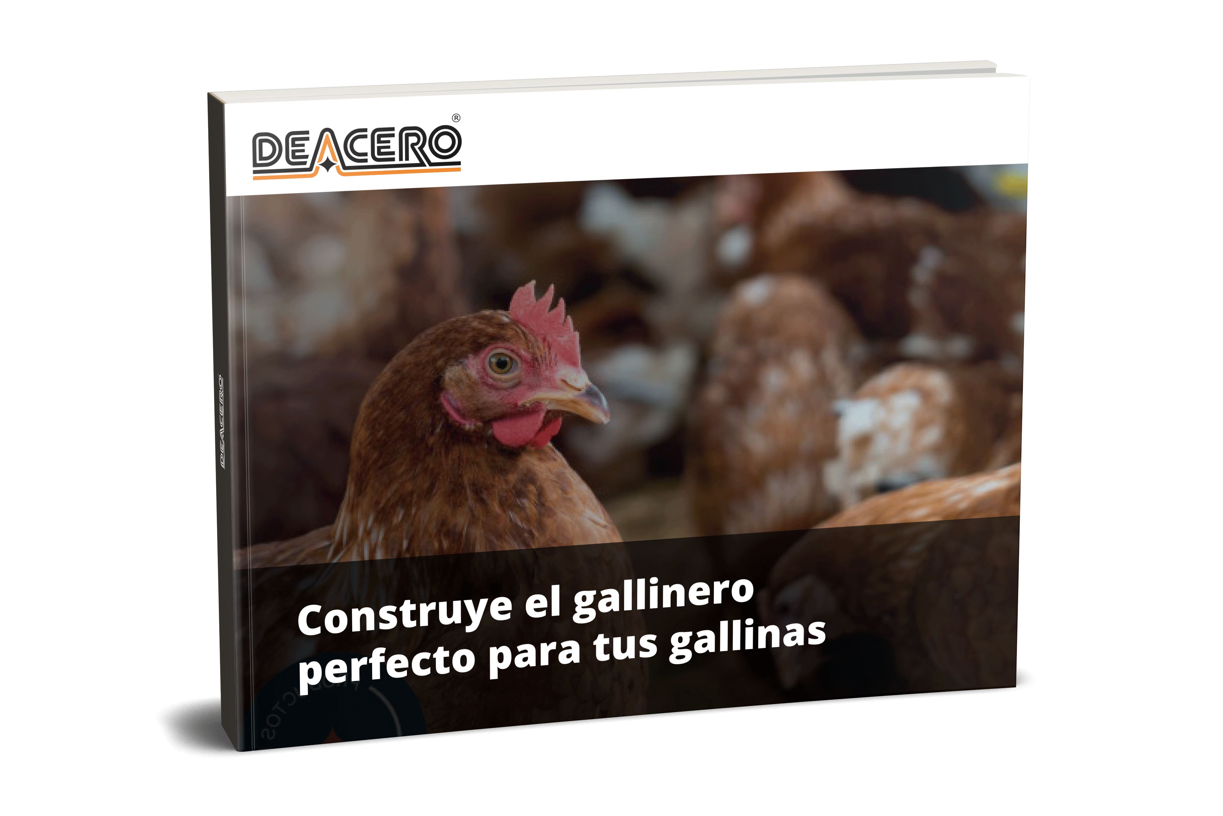 gallinas