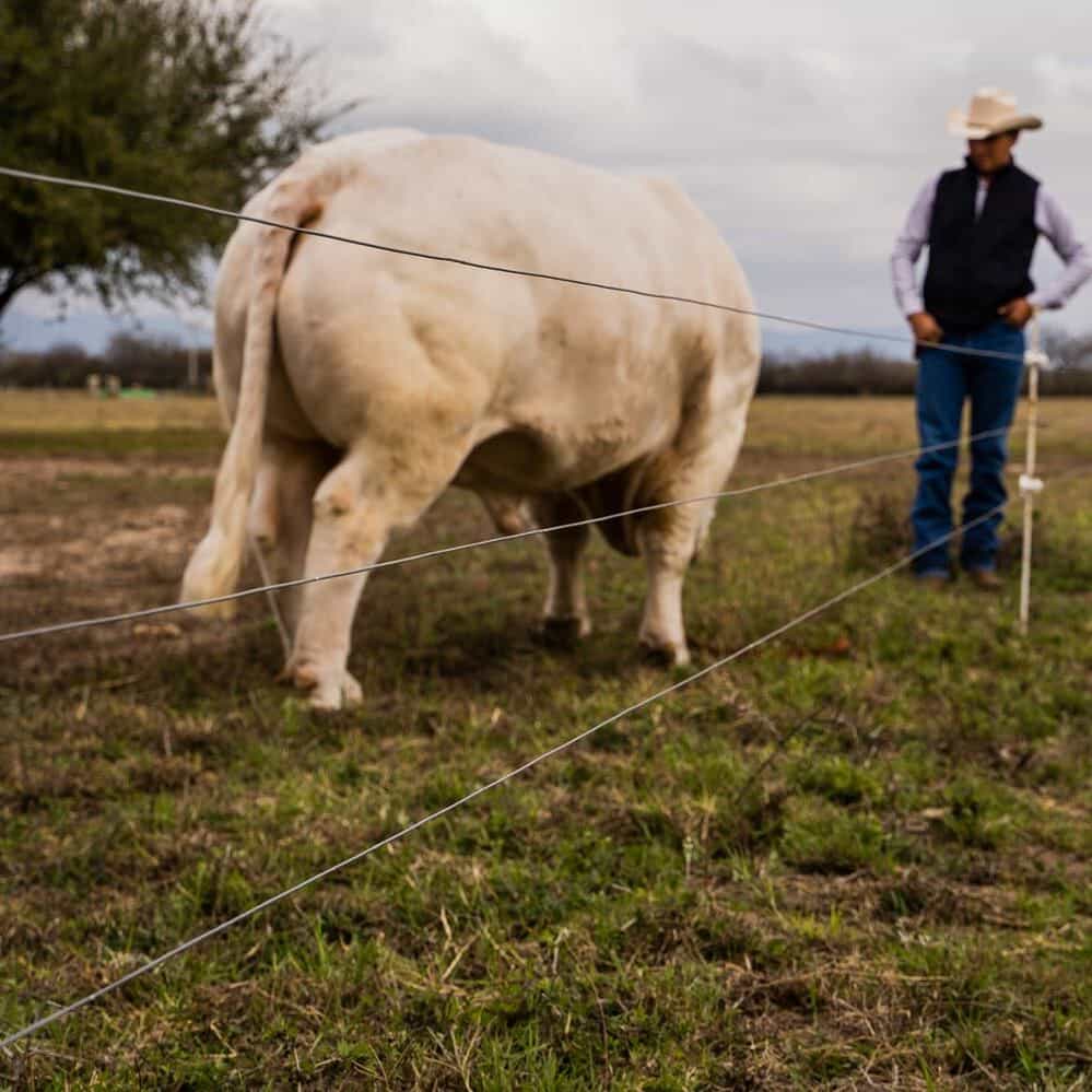 Cerco Electrico Deacero Aplicación