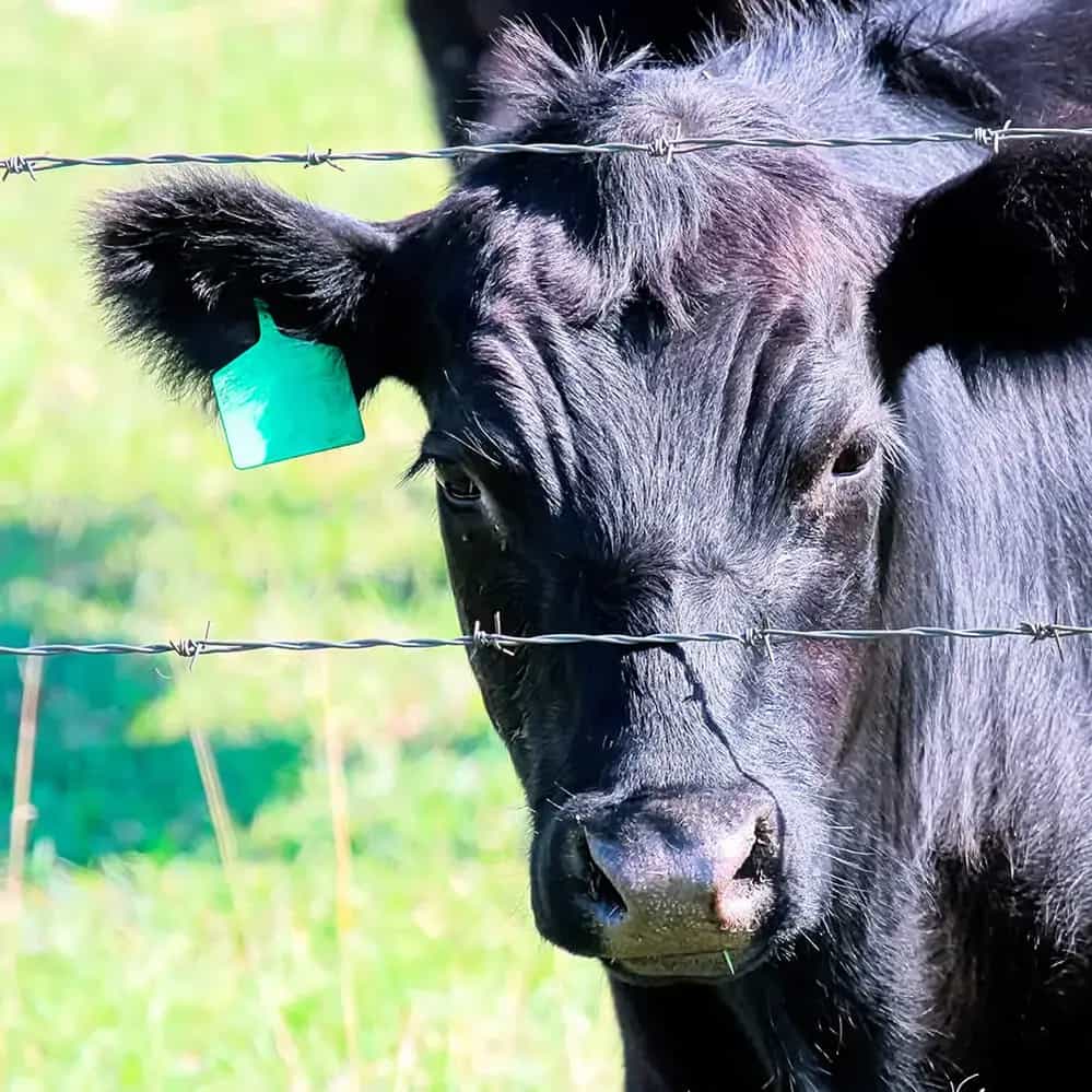Alambre de Puas Bronco Deacero Aplicación