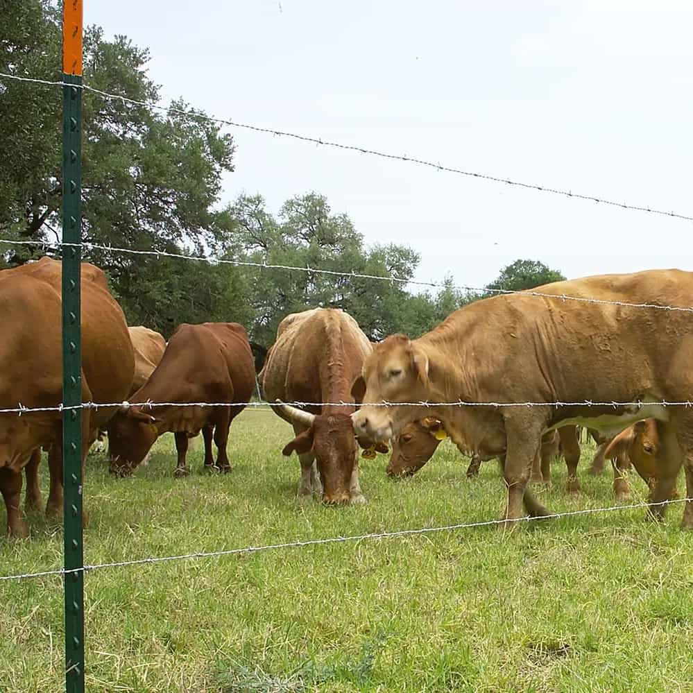 Alambre-de-Puas-Nacional-ANSA-Aplicación-1