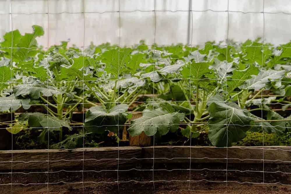 Malla-Graduada-DEACERO-Detalle-03