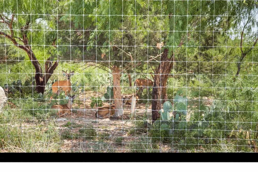 RANCHO_ZA_Malla-Graduada-Triple-Nudo-Venadera3-(1)