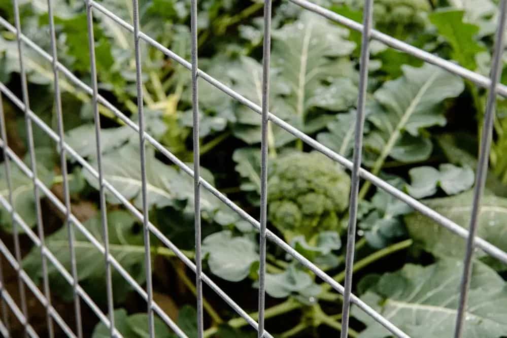 Panel-DEACERO-Detalle-17