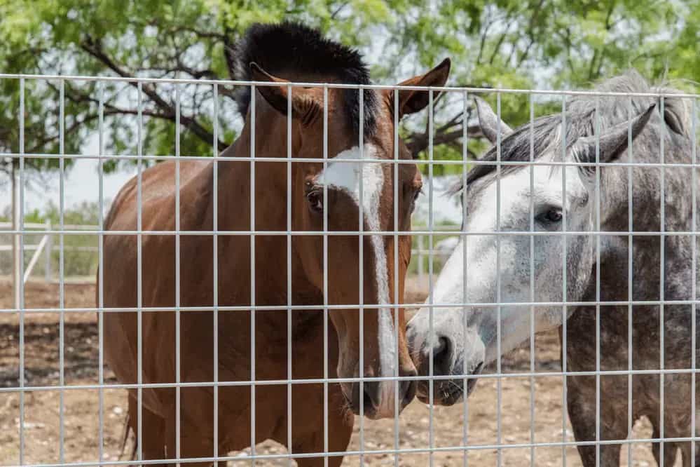Panel-DEACERO-Aplicación-04