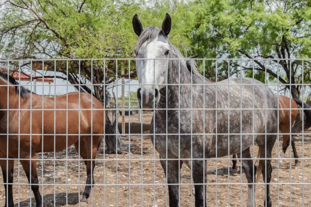 Panel-DEACERO-Aplicación-05