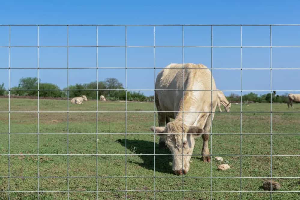 Panel-DEACERO-Aplicación-13