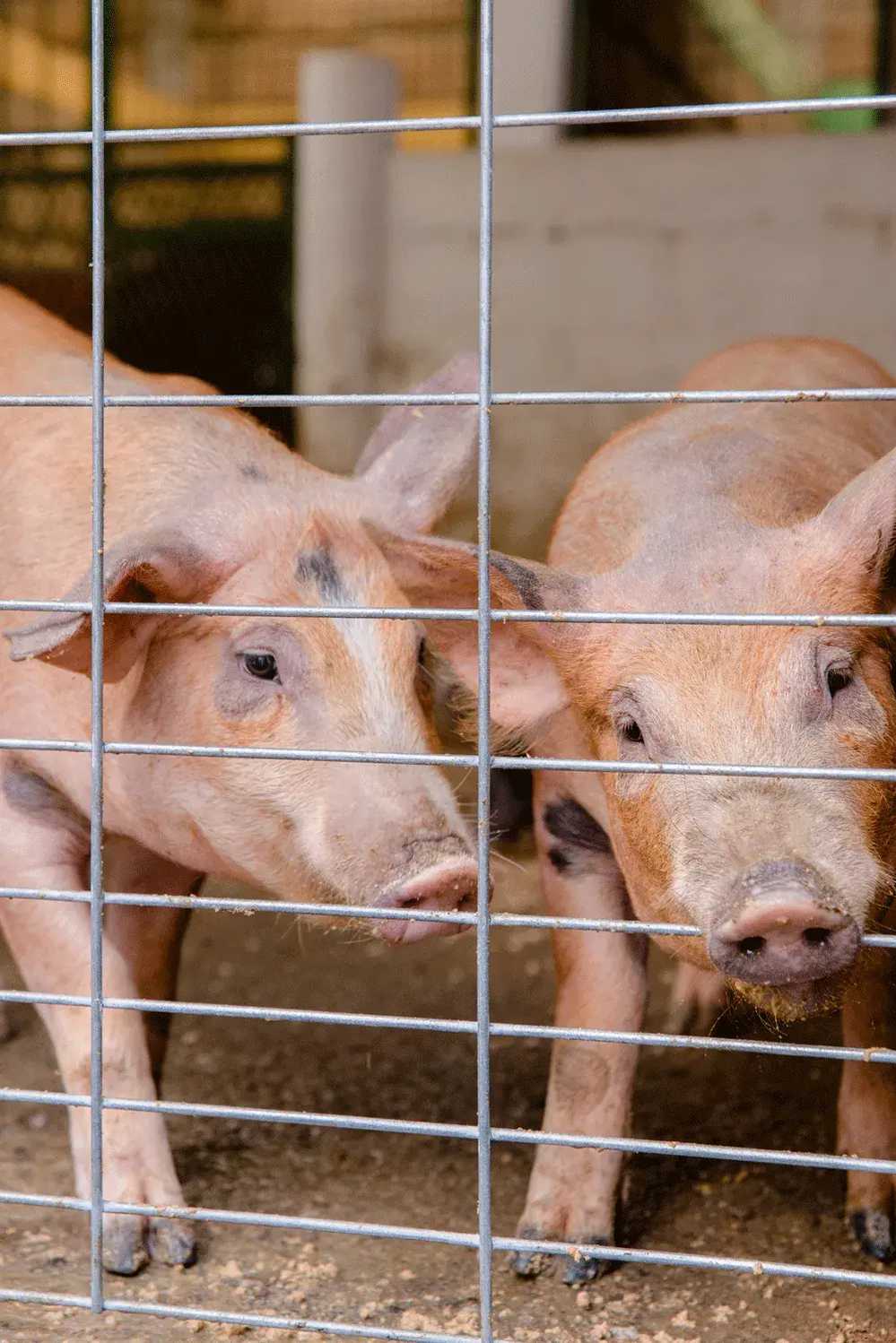 Panel-DEACERO-Detalle-13_11zon